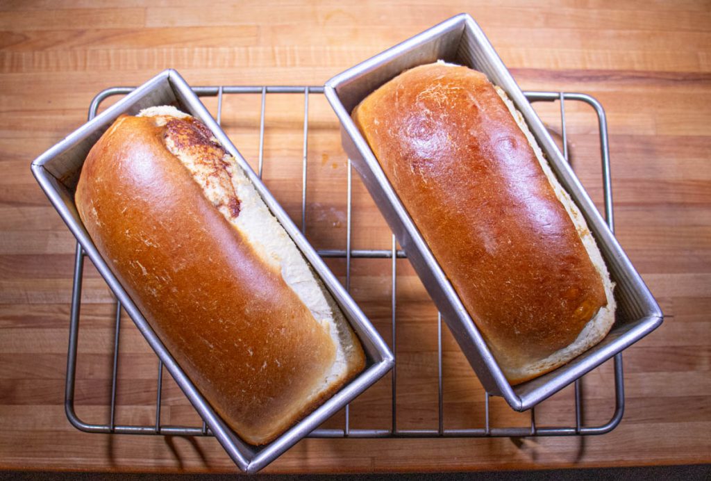 loaves in a pan